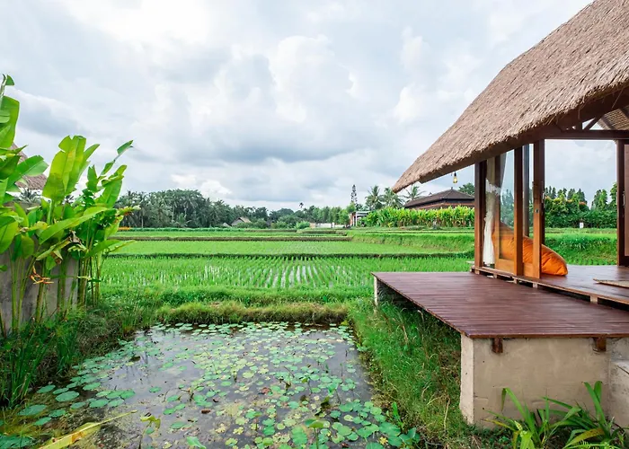 Mawas 別荘 *
